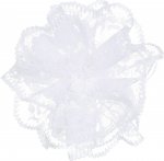 Rosette aus Spitze mit Haargummi (Weiß)